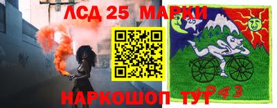 ПСИЛОЦИБИНОВЫЕ ГРИБЫ Донецк