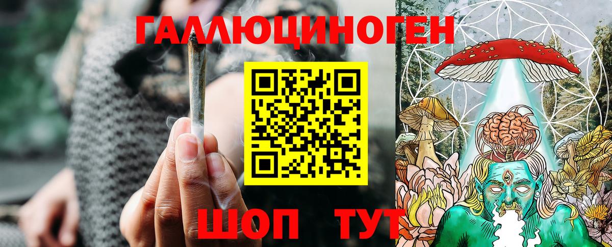 Псилоцибиновые грибы Psilocybe  Вход с VPN  Михайловск  Псилоцибиновые грибы прущие грибы 